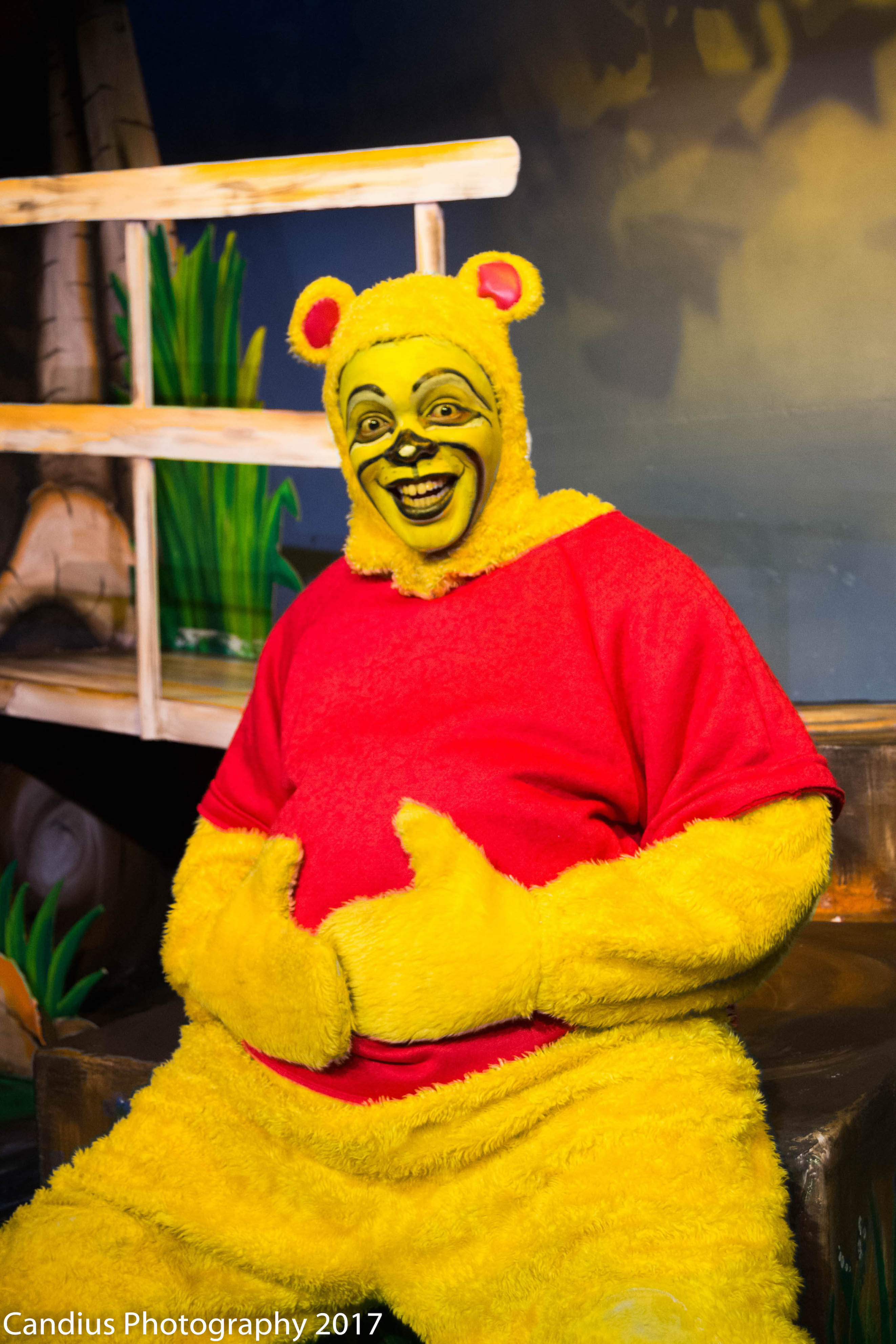 Disney's Winnie The Pooh - Photo 4 Disney's Winnie The Pooh - Photo 4